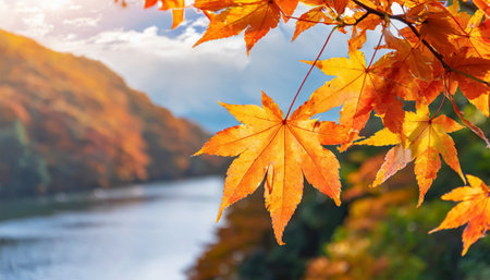 background No people, close up, copy space, macro shot.の素材