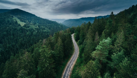 This stunning aerial image captures a winding mountain road traversing a lush, dark green forest, highlighting the pristine beauty of untouched wilderness and the serene escape offered by remoteの素材