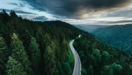 This stunning aerial image captures a winding mountain road carved through a lush, dark green forest, highlighting natures untouched beauty, the peaceful environment, and a harmonious balanceの素材