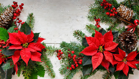 A vibrant Christmas decoration featuring a festive frame of bright red poinsettia flowers intertwined with lush green branches of a Christmas tree, ideal for seasonal decor, greeting cards, andの素材