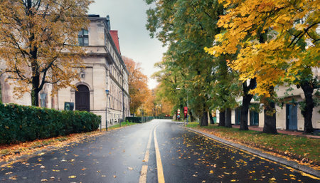 Experience the serene beauty of an empty city road during autumn, surrounded by vibrant fall foliage. Golden leaves line the streets under a clear sky, capturing the peaceful charm of the urbanの素材