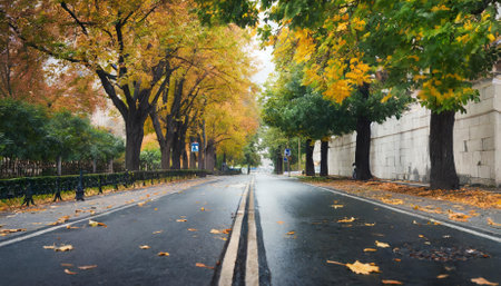 A peaceful empty road in the heart of the city during autumn, adorned with vibrant foliage and scattered leaves. This picturesque urban scene captures the essence of tranquility and seasonalの素材