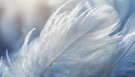 A detailed closeup of white feathers forming a tranquil and serene background, evoking themes of peace, calm, spiritual purity, and connection to divine faith, suitable for religious andの素材