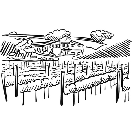 Californian Vineyard with Hills and House, Vector Sketched Artworkのイラスト素材