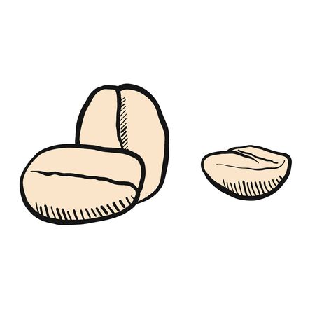 Coffee Beans Outline Sketch, Hand drawn Vector Artworkのイラスト素材