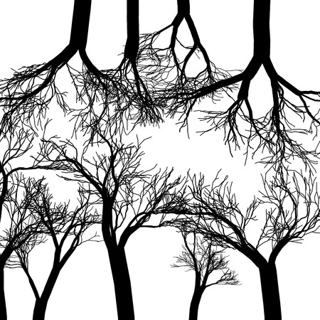 Winter Trees Collection, Digital Wall Art, Vector Outline Drawingのイラスト素材
