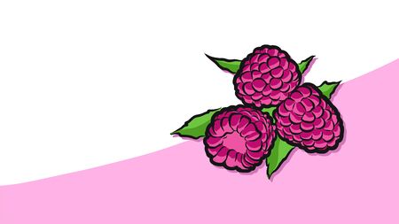 Colored Raspberries Vector Card, Fresh Food Collection, Handdrawn Clean Outline Sketchのイラスト素材