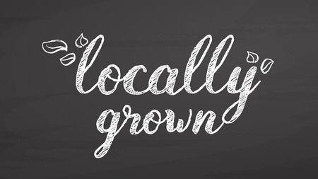 Locally grown lettering on chalkboard, handdrawn vector sketch, clean outlines, vintage style blackboard.のイラスト素材