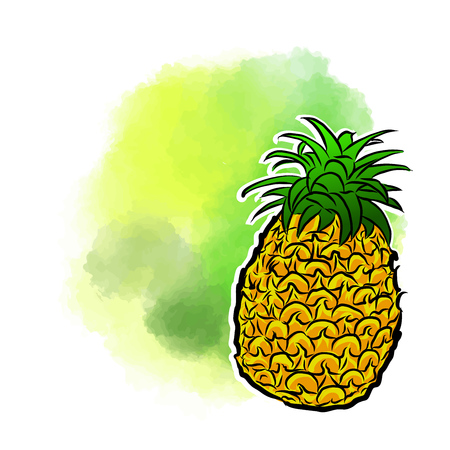 Pineapple Poster Design Background. Concept Vector Artwork with copy Space. Ideal for Food Price Labeling and Poster Layouts.のイラスト素材
