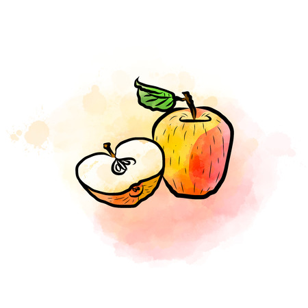 Colored drawing of apples. Fresh design of colorful fruits made in watercolor style. Vector marketing illustration on white background.のイラスト素材