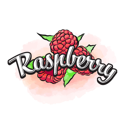 Raspberry colorful label sign. Vector drawing for advertising. Fresh design of colorful fruits made in watercolor style. Modern illustration on white background.のイラスト素材