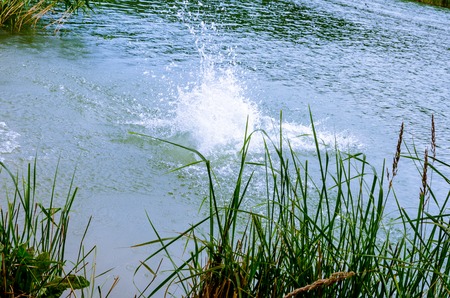 Water splashes on lake in summer. Nice landscape of child playing vacation. Travel picture series.