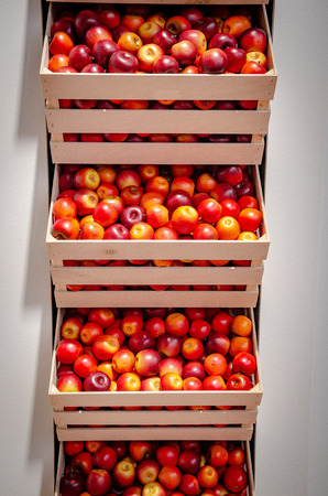 bright red apples in storage boxes, vertical alignmentの写真素材