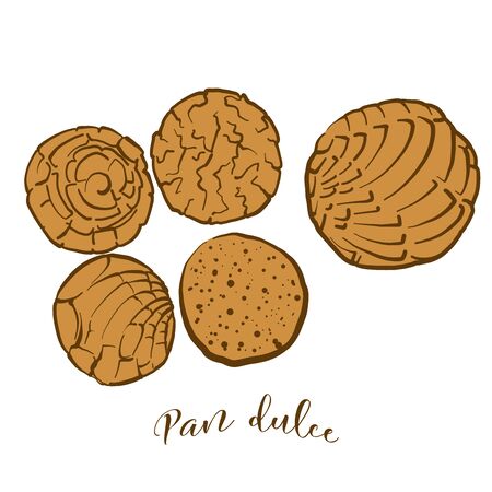 Colored drawing of Pan dulce bread. Vector illustration of Sweet bread food, usually known in Mexico. Colored Bread sketches.のイラスト素材
