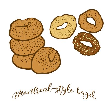 Colored drawing of Montreal-style bagel bread. Vector illustration of Yeast bread food, usually known in Canada. Colored Bread sketches.のイラスト素材