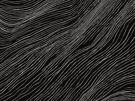A Black And White Pattern - bold lines and a rugged texture.