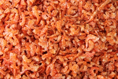 Dried salted prawn の写真素材