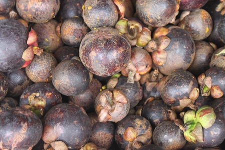 Mangoesteen の写真素材