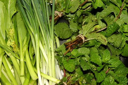 Green mixed fresh vegetables for vegetarian kitchenの写真素材