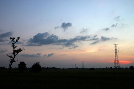 A picture of high voltage electricity posts in jasmine rice field at sunsetの写真素材