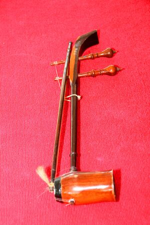 Fiddle - The picture of some musical instrument used in the traditional and classical music of Thailandのeditorial素材