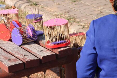 BORABUE MUNICIPALITY, MAHASARAKHAM - JANUARY 1 : The unidentified woman is selling birds for someone setting them free in New Year 2012 ceremony on January 1, 2012 at Borabue Municipality Plaza, Mahasarakham, Thailand.のeditorial素材