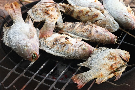 Barbecue of grilled fish on gridiron charcoal stove
