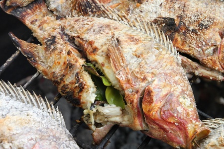 Barbecue of grilled fish on gridiron charcoal stoveの写真素材