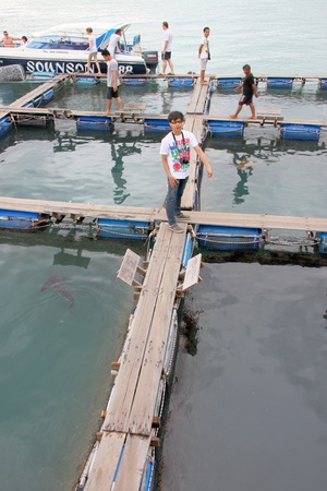 KOH SAMET, RAYONG - MAY 9 : Unidentified tourists are on the floating basket on May 9, 2012 at Koh Samet, Rayong, Thailand.のeditorial素材