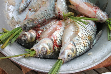 Fish preparation for food in meal timeの写真素材