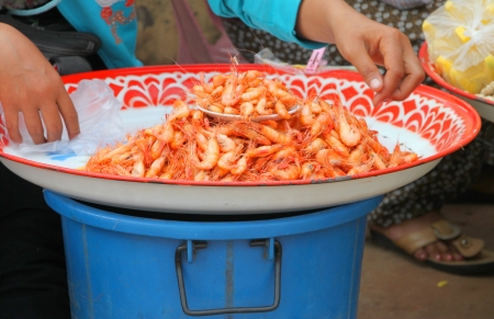 Roasted salted shrimps in local open marketの写真素材