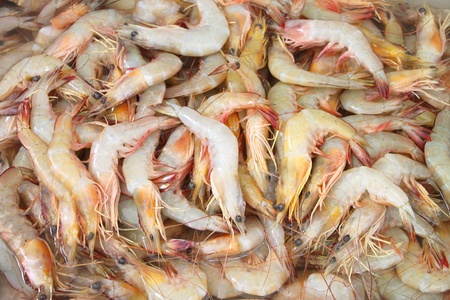 Fresh shrimps at open seafood marketの写真素材