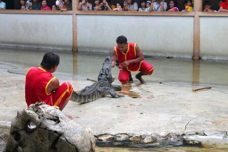 SAMUT PRAKAN, THAILAND - OCTOBER 17 : Unidentified men are performing in playing with crocodile show on October 17, 2010 at crocodile farm, Samut Prakan, Thailand.のeditorial素材