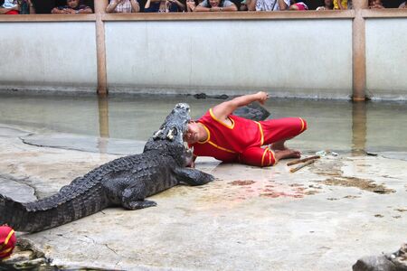 SAMUT PRAKAN, THAILAND - OCTOBER 17 : Unidentified men are performing in playing with crocodile show on October 17, 2010 at crocodile farm, Samut Prakan, Thailand.のeditorial素材