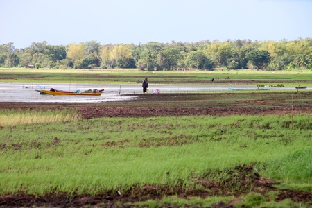 NACHUAK, MAHASARAKHAM - AUGUST 26 : Unidentified farmer is going to work in farm on August 26, 2012 at Huai Koh lake, Nachuak, Mahasarakham, Thailand.のeditorial素材