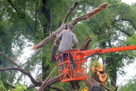 MUANG, MAHASARAKHAM - AUGUST 29 : Unidentified rescue teams are taking trees fallen down after storm damage away from road on August 29, 2012 at Bua Koh Village, Muang, Mahasarakham, Thailand.のeditorial素材