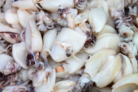 Pile of squids in local seafood marketの写真素材