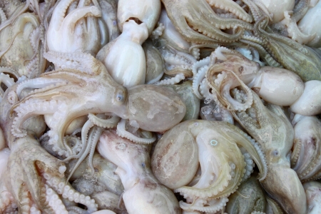 Pile of squids in local seafood marketの写真素材
