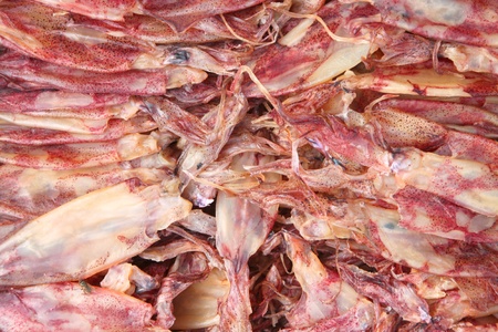 Dried squids