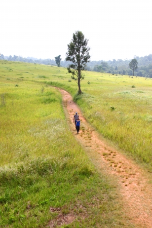 KHAO YAI, PAK CHONG, KORAT - OCTOBER 14 : The unidentified tourists are walking to wildlife animal observation tower on October 14, 2012 at Nong Pak Chi, Khao Yai forest, Pak Chong, Korat, Thailand.のeditorial素材