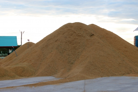 MUANG, MAHASARAKHAM - NOVEMBER 19 : Unidentified farmers are bringing ton of paddy to sell in rice commercial public project on November 19, 2012 at Agricultural Cooperative, Muang, Mahasarakham, Thailand.のeditorial素材