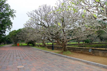 Walkway in Dai Noi Palace on DECEMBER 8, 2012 at Hue, Central Vietnam. Dai Noi Palace may be called The Imperial Enclosure/The Citadel Palace or The Purple Forbidden City in Hue City of Viet Nam.のeditorial素材
