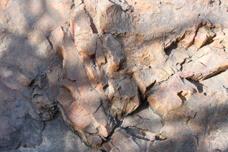 Petrified wood texture background, Wat Mahachai ancient art museum, Mahasarakham, Thailandの写真素材