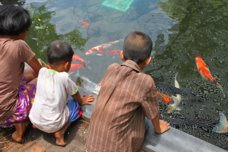 MUANG, BURIRAM - APRIL 8 : Unidentified children are looking at fishes in local aquarium garden park on April 8, 2012 at Muang, Buriram, Thailand.のeditorial素材