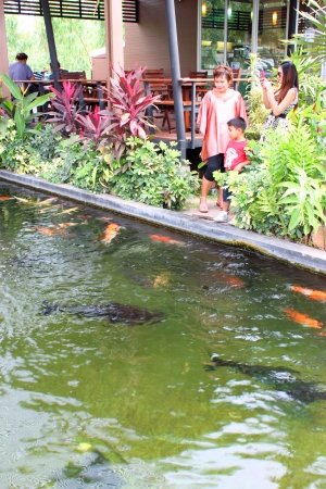 MUANG, BURIRAM - JANUARY 26 : Unidentified tourists are looking at fishes in local aquarium garden park on January 26, 2013 at Muang, Buriram, Thailand.のeditorial素材