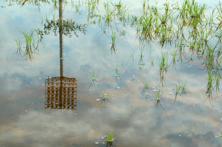 reflection of spotlight on water in outdoor stadiumの写真素材
