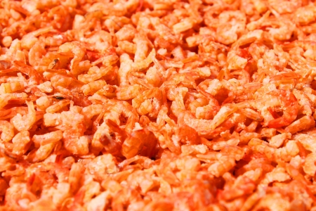 dried tiny prawns in local marketの写真素材