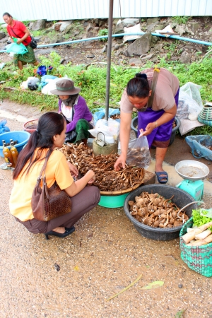 VANG TAO, LAO P D R  - JULY 28   Unidentified tourist is shopping at Thai - Lao border business center on July 28, 2013 in Vang Tao, Lao P D R のeditorial素材