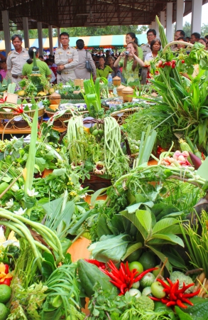 MAHASARAKHAM, THAILAND - AUGUST 8   Unidentified people are in food and vegetables decoration contest at mobile agricultural clinic project on August 8, 2013 in Mahasarakham, Thailand のeditorial素材