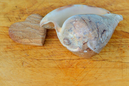 heart made of stone and sea shell on wooden chopping boardの写真素材